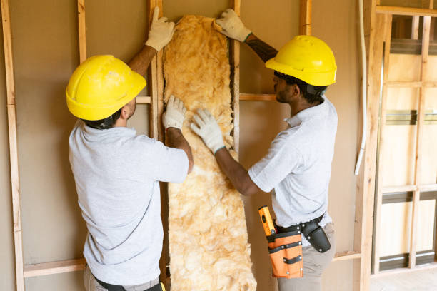 Best Wall Insulation Installation  in Gaffney, SC